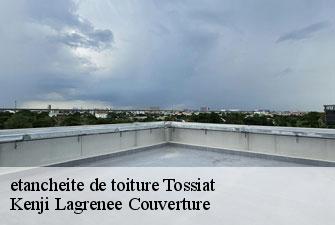etancheite de toiture  tossiat-01250 Kenji Lagrenee Couverture