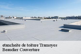 etancheite de toiture  tramoyes-01390 Beaudier Couverture 