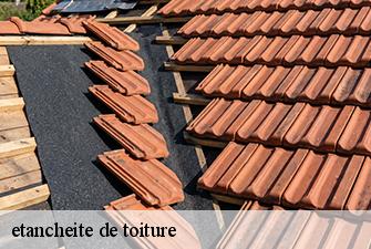 etancheite de toiture  valeins-01140 Beaudier Couverture 