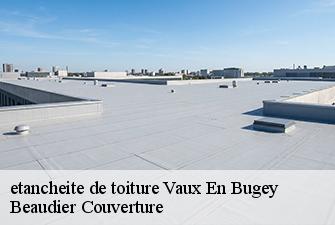 etancheite de toiture  vaux-en-bugey-01150 Beaudier Couverture 