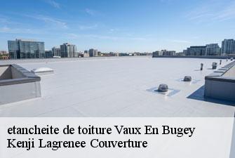 etancheite de toiture vaux-en-bugey-01150 Kenji Lagrenee Couverture