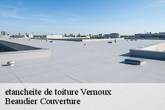 etancheite de toiture  vernoux-01560 Beaudier Couverture 