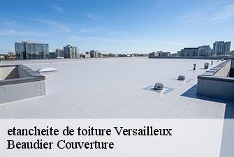 etancheite de toiture  versailleux-01330 Beaudier Couverture 