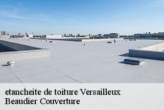 etancheite de toiture  versailleux-01330 Beaudier Couverture 