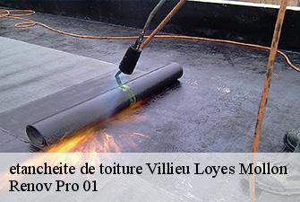 etancheite de toiture  villieu-loyes-mollon-01800 Renov Pro 01