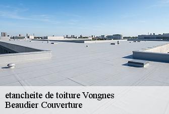etancheite de toiture  vongnes-01350 Beaudier Couverture 