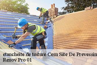 etancheite de toiture  cern-site-de-prevessin-01630 Renov Pro 01