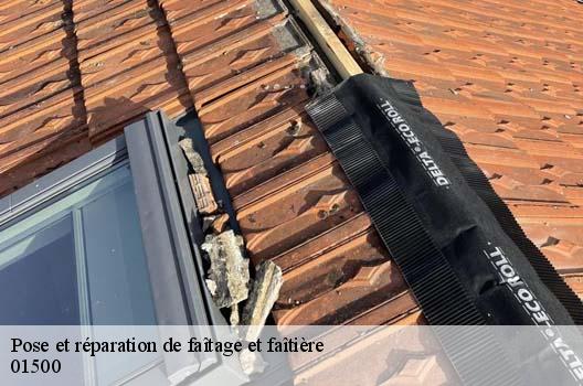 Pose et réparation de faîtage et faîtière  ambutrix-01500 