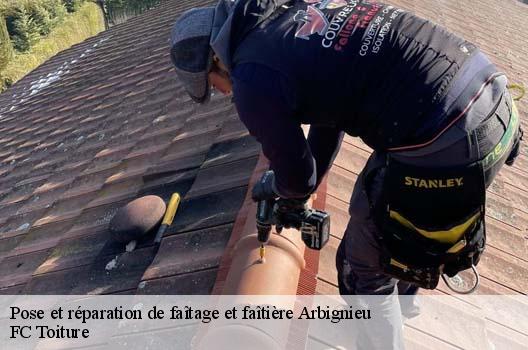 Pose et réparation de faîtage et faîtière  arbignieu-01300 