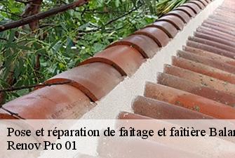 Pose et réparation de faîtage et faîtière  balan-01360 Renov Pro 01