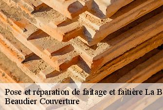 Pose et réparation de faîtage et faîtière  la-boisse-01120 Beaudier Couverture 