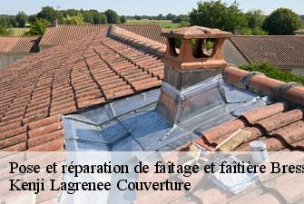Pose et réparation de faîtage et faîtière bressolles-01360 Kenji Lagrenee Couverture