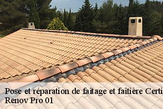 Pose et réparation de faîtage et faîtière  certines-01240 Renov Pro 01