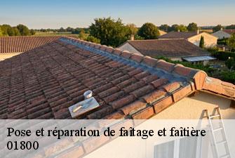 Pose et réparation de faîtage et faîtière  charnoz-sur-ain-01800 Kenji Lagrenee Couverture