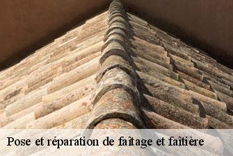 Pose et réparation de faîtage et faîtière  charnoz-sur-ain-01800 Kenji Lagrenee Couverture