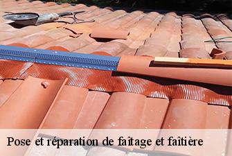 Pose et réparation de faîtage et faîtière  chatenay-01320 Renov Pro 01