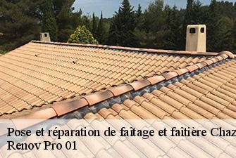 Pose et réparation de faîtage et faîtière  chazey-bons-01300 Renov Pro 01