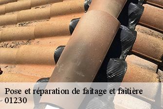 Pose et réparation de faîtage et faîtière  cleyzieu-01230 Renov Pro 01
