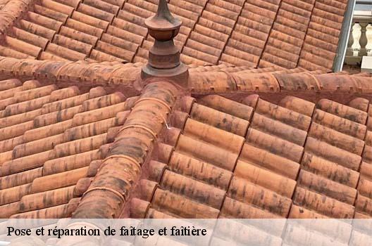 Pose et réparation de faîtage et faîtière  collonges-01550 