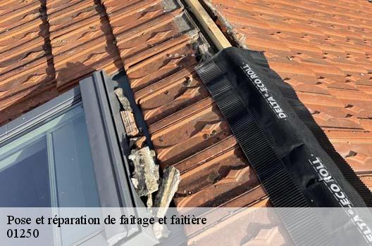 Pose et réparation de faîtage et faîtière  corveissiat-01250 