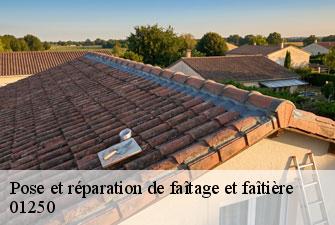 Pose et réparation de faîtage et faîtière corveissiat-01250 Kenji Lagrenee Couverture