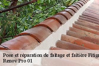Pose et réparation de faîtage et faîtière  fitignieu-01260 Renov Pro 01