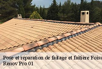 Pose et réparation de faîtage et faîtière  foissiat-01340 Renov Pro 01