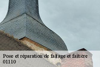 Pose et réparation de faîtage et faîtière  hostias-01110 Beaudier Couverture 