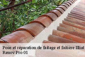 Pose et réparation de faîtage et faîtière  illiat-01140 Renov Pro 01