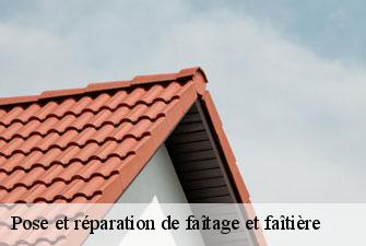 Pose et réparation de faîtage et faîtière lompnas-01680 Kenji Lagrenee Couverture