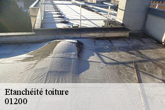 Etanchéité toiture  montanges-01200 Renov Pro 01