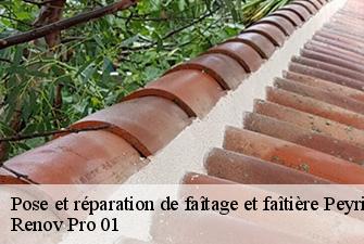 Pose et réparation de faîtage et faîtière  peyriat-01430 Renov Pro 01