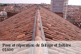 Pose et réparation de faîtage et faîtière  reyrieux-01600 Beaudier Couverture 