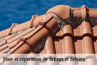 Pose et réparation de faîtage et faîtière  reyrieux-01600 Beaudier Couverture 
