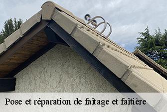 Pose et réparation de faîtage et faîtière  reyrieux-01600 Renov Pro 01