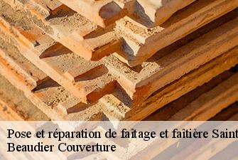 Pose et réparation de faîtage et faîtière  saint-denis-en-bugey-01500 Beaudier Couverture 