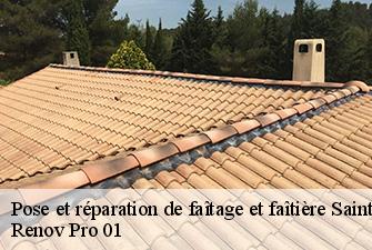 Pose et réparation de faîtage et faîtière  sainte-euphemie-01600 Renov Pro 01