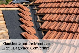 Etanchéité toiture montceaux-01090 Kenji Lagrenee Couverture