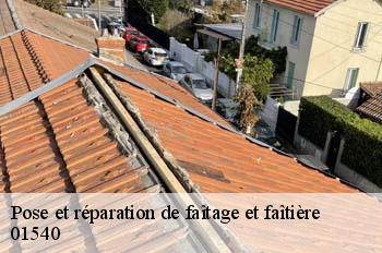 Pose et réparation de faîtage et faîtière  saint-julien-sur-veyle-01540 
