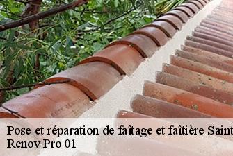 Pose et réparation de faîtage et faîtière  saint-just-01250 Renov Pro 01