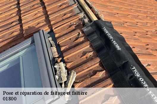 Pose et réparation de faîtage et faîtière  saint-maurice-de-gourdans-01800 