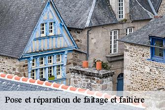 Pose et réparation de faîtage et faîtière  sutrieu-01260 Beaudier Couverture 