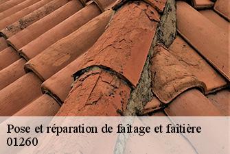 Pose et réparation de faîtage et faîtière  sutrieu-01260 Renov Pro 01