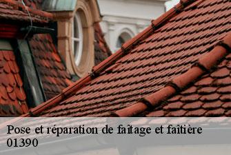 Pose et réparation de faîtage et faîtière tramoyes-01390 Kenji Lagrenee Couverture