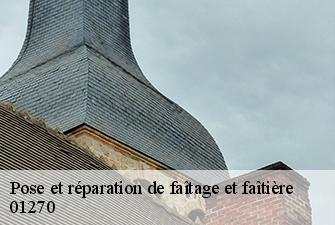 Pose et réparation de faîtage et faîtière  villemotier-01270 Beaudier Couverture 