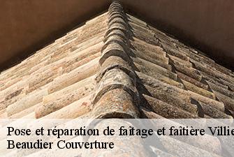 Pose et réparation de faîtage et faîtière  villieu-loyes-mollon-01800 Beaudier Couverture 