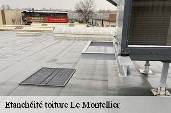 Etanchéité toiture  le-montellier-01800 