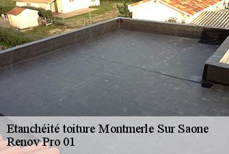 Etanchéité toiture  montmerle-sur-saone-01090 Renov Pro 01