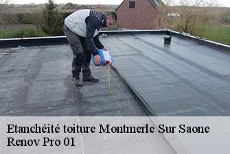 Etanchéité toiture  montmerle-sur-saone-01090 Renov Pro 01