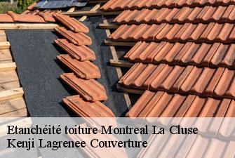 Etanchéité toiture montreal-la-cluse-01460 Kenji Lagrenee Couverture
